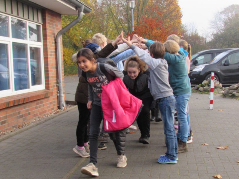 IMG_4207 IMG_4207